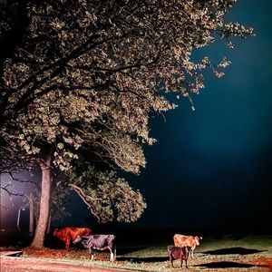 Meet your Posher, JF